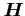 ${\mbox{\boldmath$H$}}$